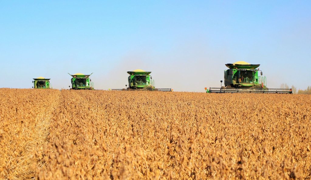 Organic Soybean Meal for Poultry Feed: Why It’s Becoming the Go-To Protein Source