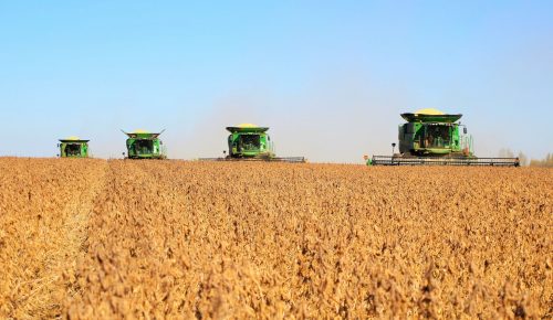 Organic Soybean Meal for Poultry Feed: Why It’s Becoming the Go-To Protein Source
